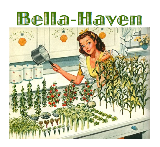 An old-timey cartoon of a lady and some groceries. An old-timey cartoon of a lady and some groceries.